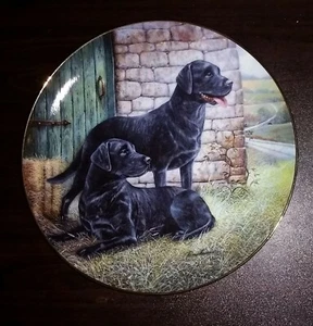 Franklin Mint Plate - Proud Pair - Black Labradors by Ruane Manning - Picture 1 of 2