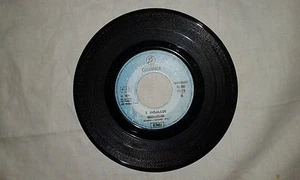 I Nomadi / Senza Discutere - Disco Vinile 45 giri 7" (no cover) - Imagen 1 de 1