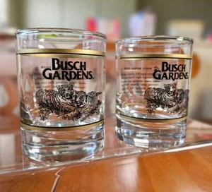 Busch Gardens Florida Glasses, Florida Souvenir Bengal Tiger, New - Picture 1 of 8