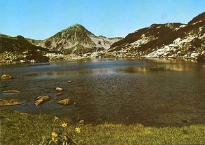 Cartolina d'epoca - Piringebirge - Foto 1 di 1