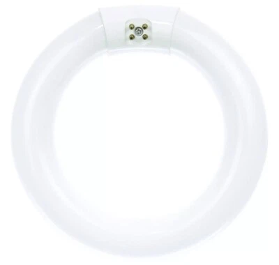 2~ S6501 FC8T9/D/RS 8-Inch Fluorescent Circline 22W T9 4-Pin G10q 6500K Daylight - Image 1 of 3
