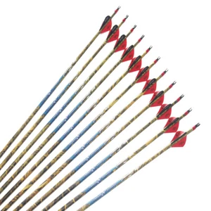 12Pcs Carbon Express Arrows Spine300-400 ID6.2mm 2"Plastic Vane Compound Bow - Picture 1 of 6