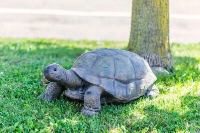 30 in Large Turtle Garden Statue Backyard Garden Lawn Decor - Image 1 of 4