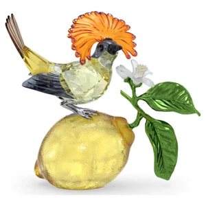 Swarovski Crystal IDYLLIA ROYAL FLYCATCHER 5651811 New In Box - Picture 1 of 3