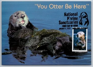 #5713j National Marine Sanctuaries Sea Otter FDC Maxi Card - Picture 1 of 2
