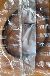 1692660480 Stretch Belt - Picture 1 of 2