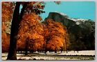 California Yosemite Nationalpark Schneefall Herbst halbe Kuppel stornieren WOB Postkarte