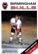 1993-94 Birmingham Bulls #17 Darcy Norton
