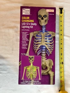 Home Accents 23SV24041 Easy Find H21 Farbwechsel LED 12ft Skelly Beleuchtungsset - Bild 1 von 10