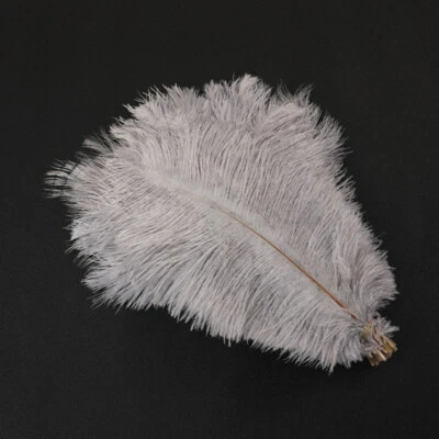 1pc Natural White Ostrich Feather 8-20in / 20-50cm DIY Weeding Costume Headress - Image 1 of 4