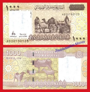 SOMALIA 1000 Chelines 2010 (2024) Pick NEW SC / UNC - Imagen 1 de 1