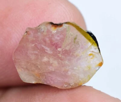 Unbehandelt Natürlich Wassermelone Turmalin Scheibe 3.15 Karat Zertifiziert Top - Bild 1 von 4