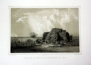 aprox. 1860 Livorno Toscana Toscana Italia Italia veduta Litografía Litografía - Imagen 1 de 1