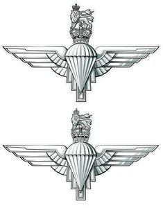 Fallschirmjäger Regiment wasserdicht Vinyl Aufkleber Abziehbild PARAS Luftlandearmee lizenziert - Bild 1 von 35