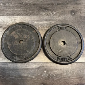 Pair of RARE Vintage 20lb YORK BARBELL Standard 1 Inch Weight Plates - Picture 1 of 4