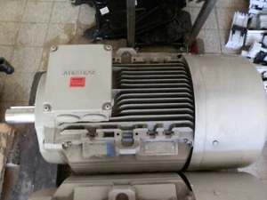 Motor asíncrono Siemens 1LA5186-4AA60-Z 22kw 25,3kW 1460/1755/min - Imagen 1 de 4