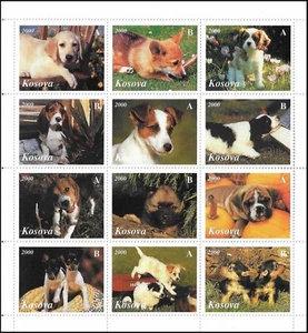 Perros Jack Russel Terrier Galés Corgi Bulldog... Kosovo Como Nuevo Hoja de Estampillas 2000 - Imagen 1 de 1