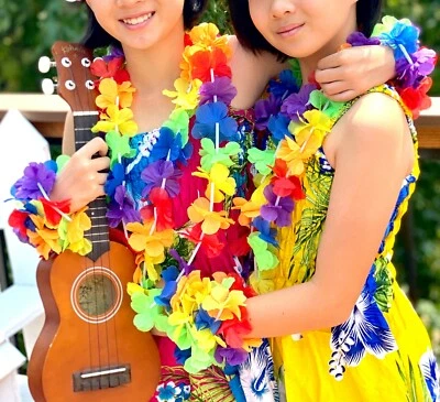 12 piezas Guirnalda de flores hawaianas Leis Collar Vestido Accesorio y Decoración de Fiesta Foto 1 de 4