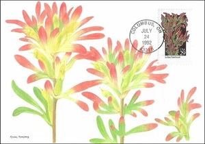 Indian Paintbrush Castilleja Coccinea Botany Wildflower USA Maxi FDC Card 1992 - Picture 1 of 1