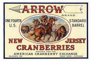 ORIGINAL 1930S NEW JERSEY CRANBERRY CRATE LABEL ARROW INDIAN CHICAGO NEW YORK D2 - Picture 1 of 1