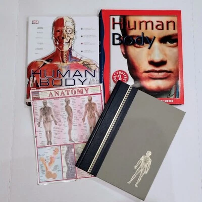 5th Grade Science Curriculum The Human Body Books and Activities Bundle - Image 1 of 4