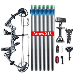 Archery 19-70lbs Compound Bow and Arrow Set Arrows IBO320FPS 85% Labor Saving - Picture 1 of 3