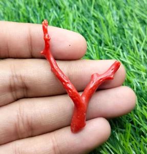 Italian Coral Stick, Natural Italian Coral Rough Stick Polished Coral Stick, Gem - Picture 1 of 1