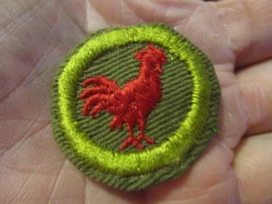 Vintage 1940's Boy Scout POULTRY KEEPING Merit Badge / Sash Removed - Picture 1 of 2