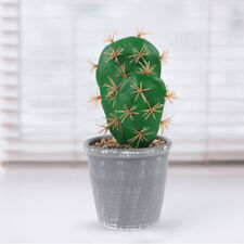 Artificial Cactus Plants with Pot for Home/Office Decor