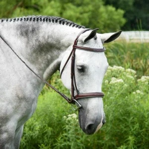 Brida KL Select Red Barn Middleburg - Imagen 1 de 1