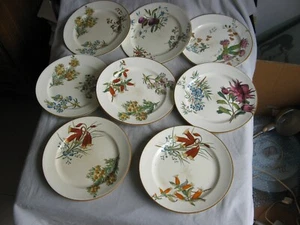 Rare 8 assiettes polychrome du service Australian Flora de Wedgwood vers 1880 - Imagen 1 de 12