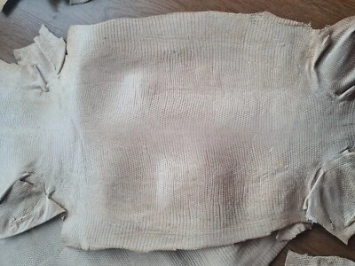 100% genuine lizard iguana skin, Italian genuine iguana leather, lizard leather  - Image 1 of 4