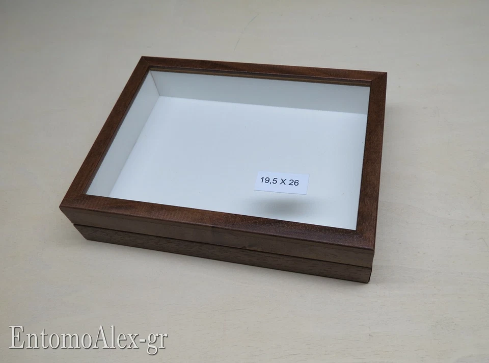 scatola entomologica legno MARRONE 19X26 plastazote entomologia cassetta insetti - Immagine 1 di 4