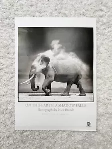 Nick Brandt Poster von fotografiska Museet 2011 kostenloser Versand - Bild 1 von 5