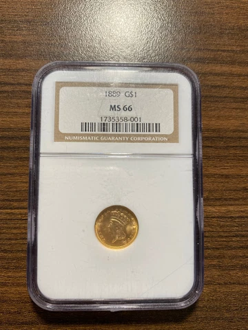 1889-P Indian Princess Gold Dollar G$1 NGC MS 66 Type 3 Large Head HIGH GRADE Cover