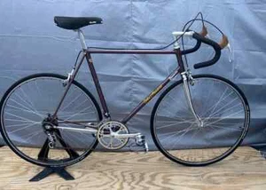 1983 John Howard #164 Painted by Dave Moulton Classic Steel Road Bicycle 58cm - Picture 1 of 24