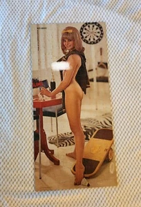 Playboy Playmate Puzzle Complete Miss August 1967 DeDe Lind Centerfold No Tin - Picture 1 of 6