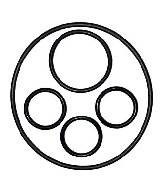 Kit Completo 5 Pz O Ring Pompa Acqua Yamaha Tmax 500 Guarnizioni - Imagen 1 de 3