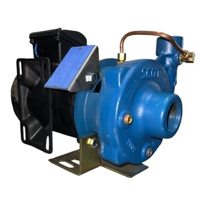 Chip Blaster MP-11 1HP size 1.25"x1" Centrifugal Pump - Picture 1 of 7