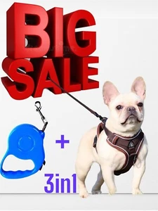 Dog Harness and Leash Set for Small Medium Dog/Cat No Pull Soft Mesh Chest puppy - Picture 1 of 19