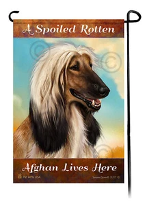 A Spoiled Rotten Afghan Lives Here - Picture 1 of 1