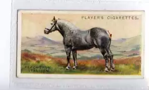 (Je4701) SPIELER,VIEH,PERCHERONHENGST,1925,#18 - Bild 1 von 2