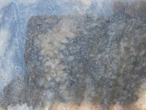 OOLITIC AGATE Rough Slab #J1966 - Picture 1 of 3