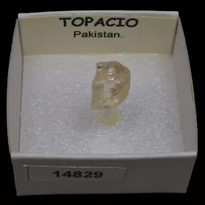 TOPACIO (Pakistan) #14829 / Topaz - Picture 1 of 1