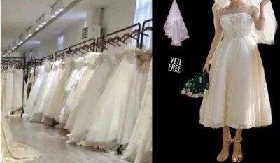 Short Sleeve Tulle Sequins A-line Gown French Light Wedding Dress Size 8-10 - Image 1 of 4