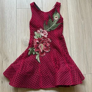 Zoe Ltd .Girl's dress Mesh Floral embroidered sleeveless red fit flare sz 6 - Picture 1 of 8