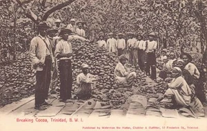 Trinidad - Breaking Cocoa - Publ. Waterman - Picture 1 of 2