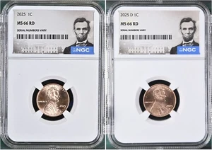2025 P/D Lincoln Cent Set Graded NGC MS-66 w/ Abraham Lincoln Special Label - Picture 1 of 2