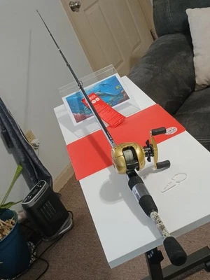 baitcasting Fishing Rod Zebco 33 6'6" MH 10-20lb And Reel Abu García Ambassadeur - Image 1 of 4