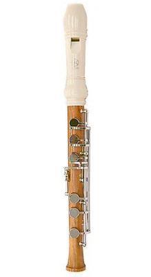 Yamaha Soprano One-Handed Recorder Right-Handed YRS-900R Straight Windway Japan - Image 1 of 3